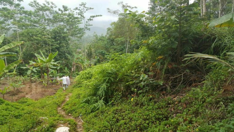 madania village cigudeg bogor