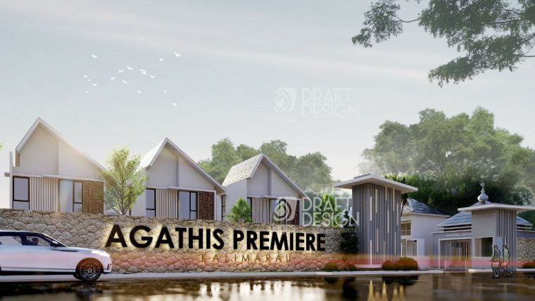 agathis premiere kalimarau berau